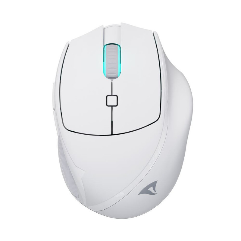 Sharkoon OfficePal M25W hiiri Pelaaminen Oikeakätinen RF Wireless + USB Type-C Optinen 4000 DPI