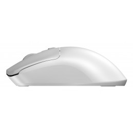 Sandberg 331-05 hiiri Universaali Molempikätinen Langaton RF 1600 DPI