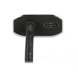 DeLOCK 62990 USB grafiikka-adapteri 4096 x 2160 pikseliä Harmaa
