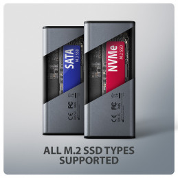 Axagon EEM2-SD2 tallennusaseman kotelo SSD-kotelo Harmaa M.2
