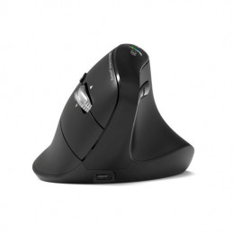 Port Designs ERGO AUDITOR hiiri Universaali Oikeakätinen RF Wireless + Bluetooth Optinen 4800 DPI