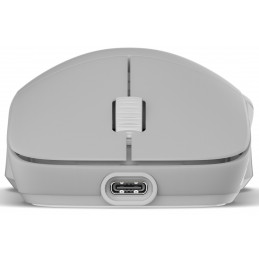Endgame Gear XM2w 4k v2 hiiri Pelaaminen Oikeakätinen RF Wireless + USB Type-A Optinen 30000 DPI