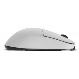 Endgame Gear XM2w 4k v2 hiiri Pelaaminen Oikeakätinen RF Wireless + USB Type-A Optinen 30000 DPI