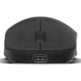 Endgame Gear XM2w 4k v2 hiiri Pelaaminen Oikeakätinen RF Wireless + USB Type-A Optinen 30000 DPI