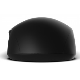 Endgame Gear XM2w 4k v2 hiiri Pelaaminen Oikeakätinen RF Wireless + USB Type-A Optinen 30000 DPI