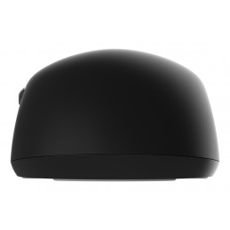 Endgame Gear OP1 8K V2 hiiri Pelaaminen Oikeakätinen USB A-tyyppi Optinen 30000 DPI