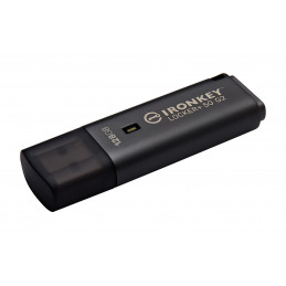 Kingston Technology IronKey 128 Gt Locker Plus 50 G2, FIPS 197, AES-256