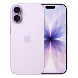 Apple iPhone 17 16 cm (6.3") Kaksois-SIM iOS 26 5G USB Type-C 512 GB Laventeli