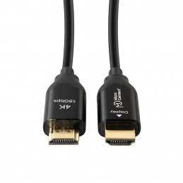 Microconnect HDM1919100V2.0OP HDMI-kaapeli 100 m HDMI-tyyppi A (vakio) Musta