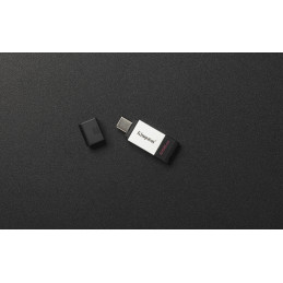 Kingston Technology DataTraveler 80 USB-muisti 256 GB USB Type-C 3.2 Gen 1 (3.1 Gen 1) Musta, Hopea