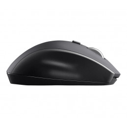 Logitech Marathon M705 hiiri Oikeakätinen Langaton RF Optinen 1000 DPI