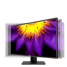 ASUS ProArt PA329C 81,3 cm (32") 3840 x 2160 pikseliä 4K Ultra HD LCD Musta