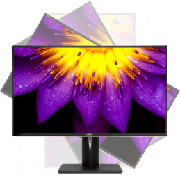 ASUS ProArt PA329C 81,3 cm (32") 3840 x 2160 pikseliä 4K Ultra HD LCD Musta