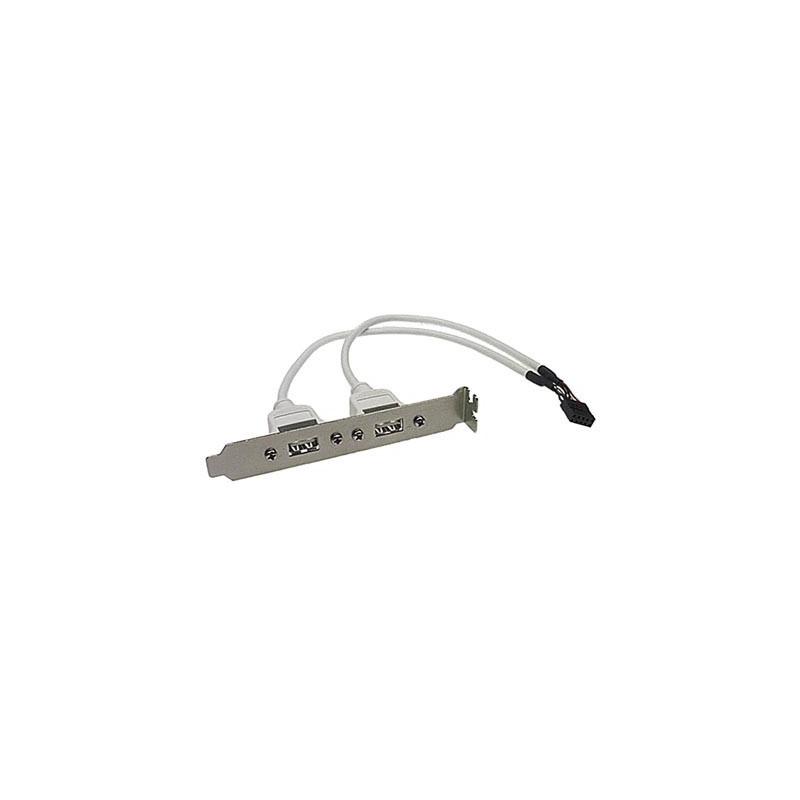 Deltaco USB-1 liitäntäkortti -sovitin Sisäinen USB 2.0