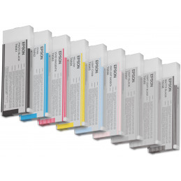 Epson Yksittäispakkaus, vaalea musta T606700 220 ml