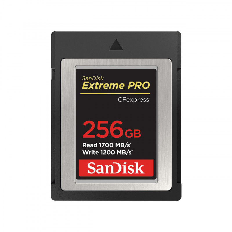 SanDisk SDCFE-256G-GN4NN flash-muisti 256 GB CFexpress