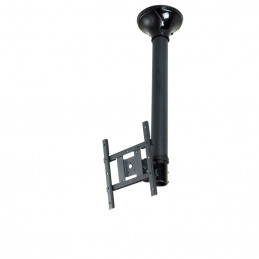 Newstar FPMA-C200 101,6 cm (40") Musta