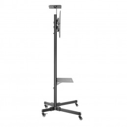 Newstar PLASMA-M1700E kyltin näyttökiinnike 177,8 cm (70") Musta