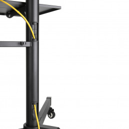 Newstar PLASMA-M1700E kyltin näyttökiinnike 177,8 cm (70") Musta