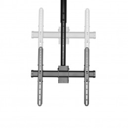 Newstar NM-C440 152,4 cm (60") Musta