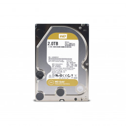 Western Digital Gold 3.5" 2000 GB Serial ATA III