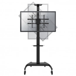 Newstar PLASMA-M1900E kyltin näyttökiinnike 177,8 cm (70") Musta