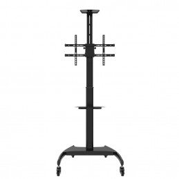 Newstar PLASMA-M1900E kyltin näyttökiinnike 177,8 cm (70") Musta