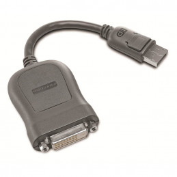 Lenovo 45J7915 videokaapeli-adapteri 0,2 m DVI-D DisplayPort