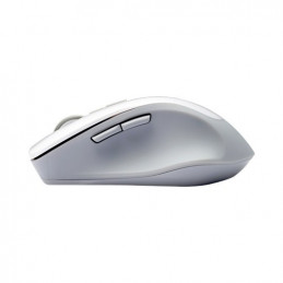 ASUS WT425 hiiri Oikeakätinen Langaton RF Optinen 1600 DPI