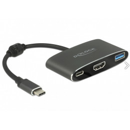 DeLOCK 62991 USB grafiikka-adapteri 3840 x 2160 pikseliä Harmaa