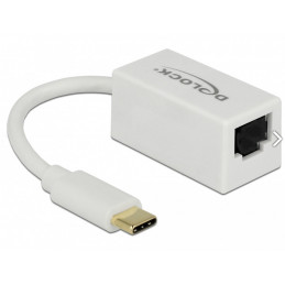 DeLOCK 65906 liitäntäkortti -sovitin RJ-45