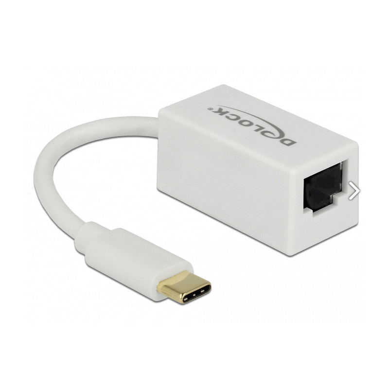 DeLOCK 65906 liitäntäkortti -sovitin RJ-45