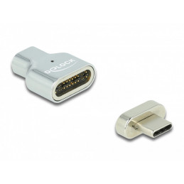 DeLOCK 66433 kaapelin sukupuolenvaihtaja Thunderbolt 3  USB C Hopea