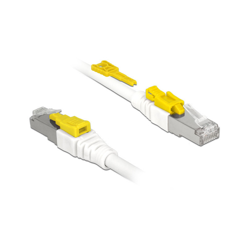 DeLOCK 85331 verkkokaapeli Valkoinen 1 m Cat6a S FTP (S-STP)