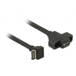 DeLOCK 85326 USB-kaapeli 0,45 m USB 3.2 Gen 2 (3.1 Gen 2) USB A USB C Musta