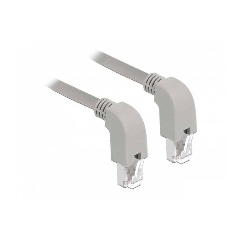 DeLOCK 85869 verkkokaapeli Harmaa 2 m Cat6 S FTP (S-STP)