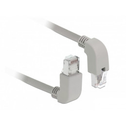 DeLOCK 85854 verkkokaapeli Harmaa 2 m Cat5e SF UTP (S-FTP)