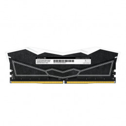 Team Group DELTA FF3D532G6200HC38ADC01 muistimoduuli 32 GB 2 x 16 GB DDR5 6200 MHz ECC