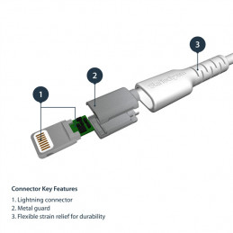 StarTech.com RUSBLTMM2M Lightning-kaapeli 2 m Valkoinen