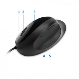 Kensington Pro Fit hiiri Oikeakätinen USB A-tyyppi Optinen 3200 DPI