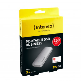 Intenso 250GB Business Portable Antrasiitti