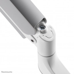 Neomounts by Newstar DS75-450WH2 monitorin kiinnike ja jalusta 81,3 cm (32") Puristin Läpipultattu Valkoinen