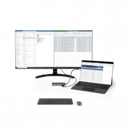 StarTech.com DKT31CHPDL kannettavien tietokoneiden telakka ja porttitoistin Langallinen USB 3.2 Gen 2 (3.1 Gen 2) Type-C Musta,