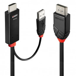 Lindy 41499 videokaapeli-adapteri 2 m HDMI + USB Type-A DisplayPort Musta