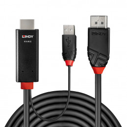 Lindy 41498 videokaapeli-adapteri 1 m HDMI + USB Type-A DisplayPort Musta
