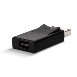 Lindy 41089 kaapelin sukupuolenvaihtaja DisplayPort Mini DisplayPort Musta