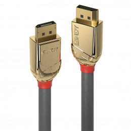 Lindy 36292 DisplayPort-kaapeli 2 m Kulta