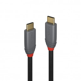 Lindy 36900 USB-kaapeli 0,5 m USB C Musta, Harmaa