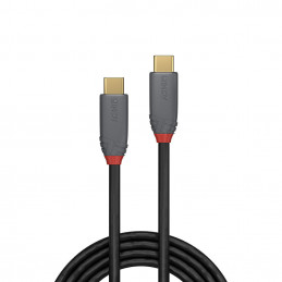 Lindy 36900 USB-kaapeli 0,5 m USB C Musta, Harmaa