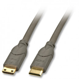 Lindy 2m HDMI CAT2 HDMI-kaapeli HDMI Type C (Mini) Musta